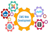 CMS