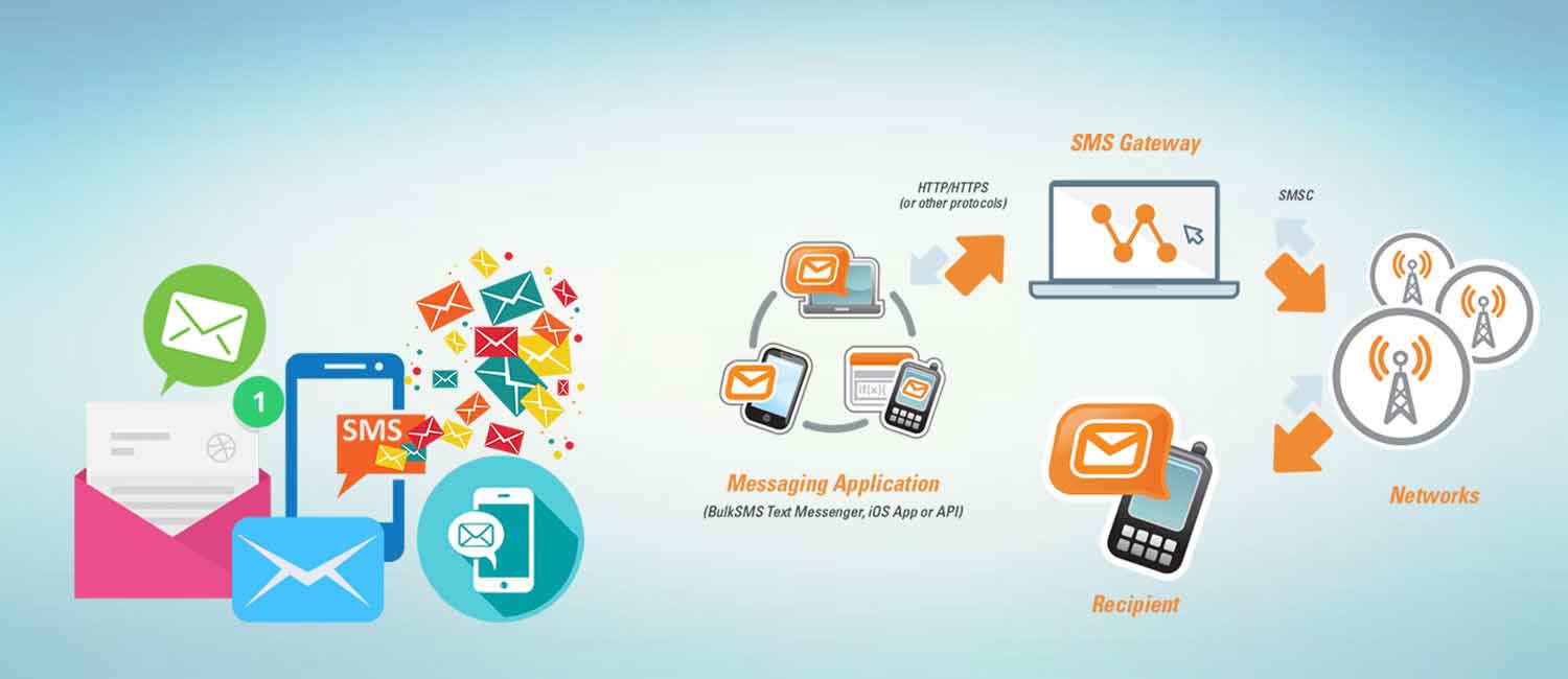 website development company in Delhi